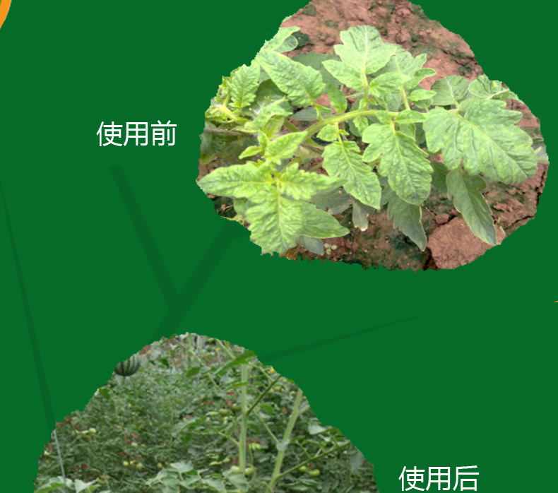 氯氟聯(lián)苯吡菌胺如何實(shí)現(xiàn)我國(guó)首家登記？